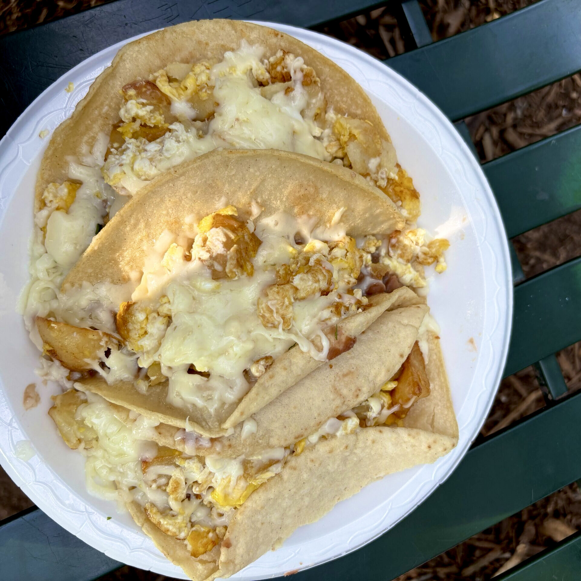 Breakfast-Tacos-Alanna-Goldman-1-2390-scaled-square-9597a8a0a0d35c763bee682892c26f8a-5ee0d2d5261d5 2