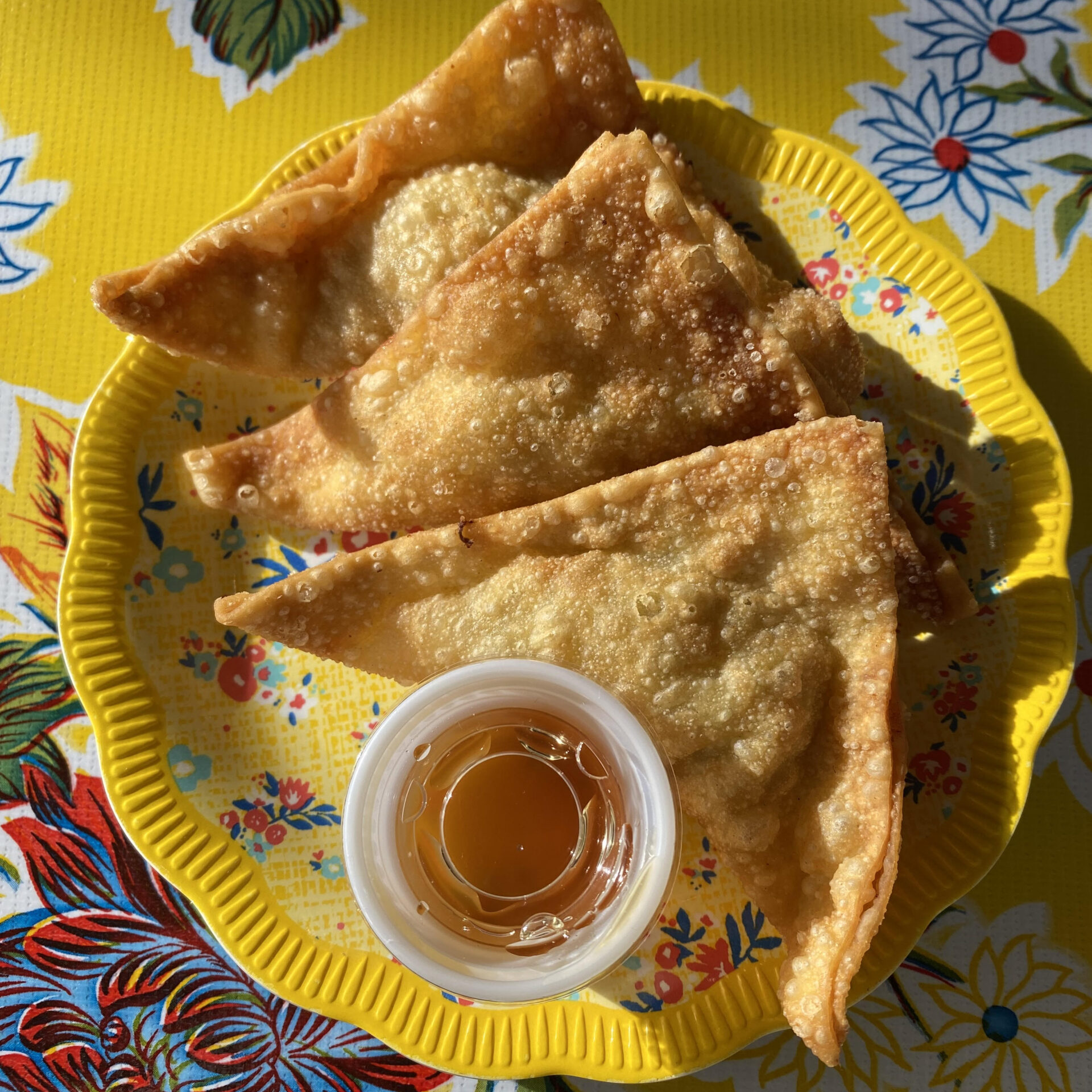 Chicken-Wontons-Lindy-1-1573