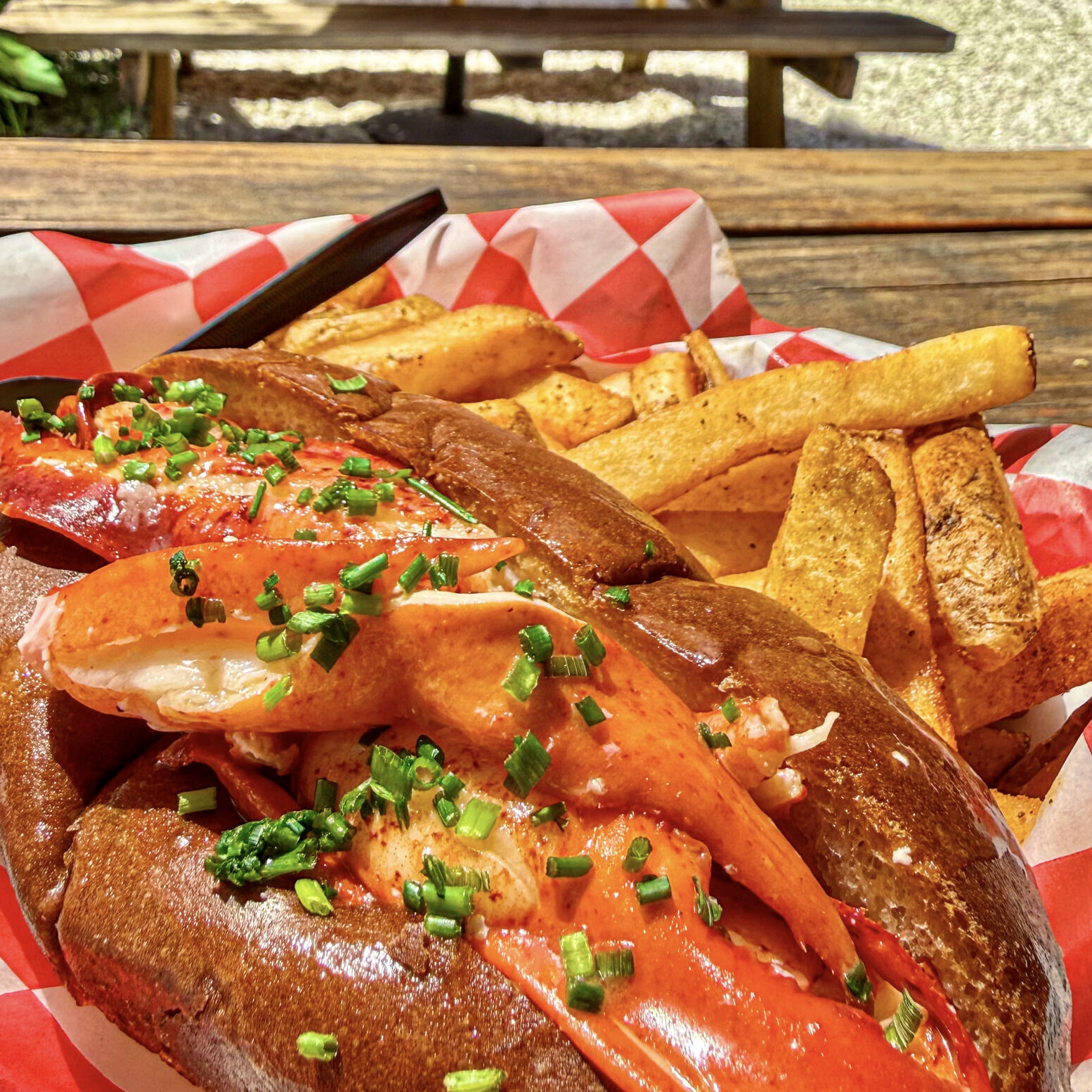 Lobster-Roll-hot-buttered-lobster-and-mayo-Victoria-Pardo-1-2778-scaled-square-0d0d1a87f818e87f48684f6652ec25f1-5ee0d2d5261d5 2