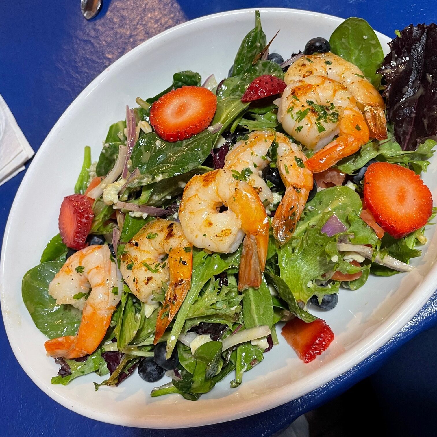 Nauti-grilled-shrimp-entree-salad-Mitch-Barnett-1-1143