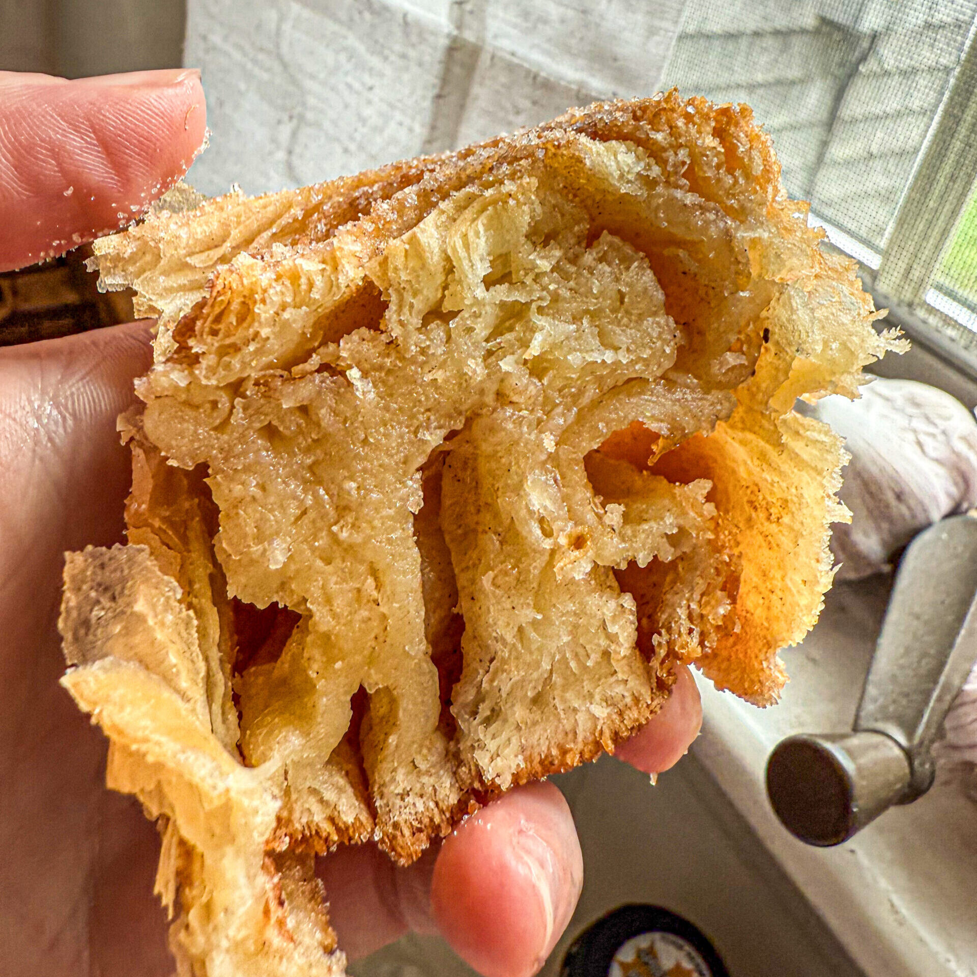 The-Morning-Bun-Victoria-Pardo-2-2536