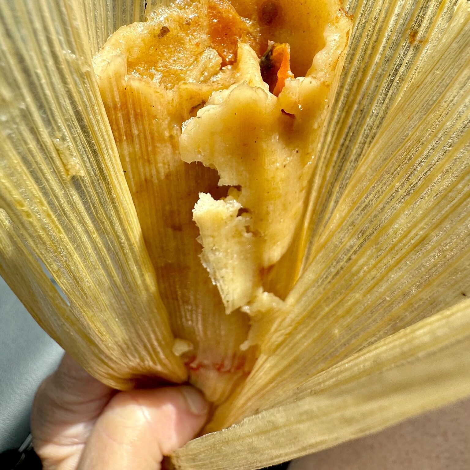 Vegetable-Tamale-Rona-Gindin-1-2313